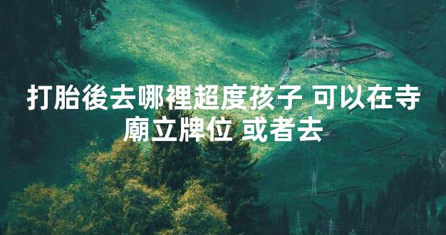 打胎後去哪裡超度孩子 可以在寺廟立牌位 或者去